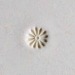 1.0cm round. Daisy - MKM-Smr-004