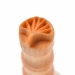 1.0cm round. Gingko leaf - MKM-Smr-028