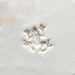 1.5cm Dancing frog - MKM-Scs-156