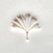 1.5cm Gingko leaf - MKM-Scs-048