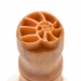 1.5cm Nautilus - MKM-Scs-021