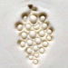 2.5cm Grapes - MKM-Scm-194
