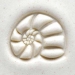 2.5cm Nautilus - MKM-Scm-021