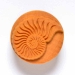 4 cm Nautilus - MKM-Scl-002