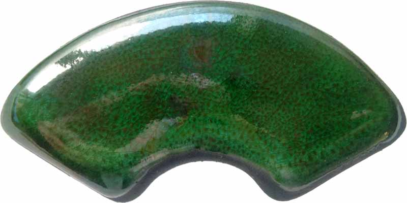 ALGAE BLOOM 