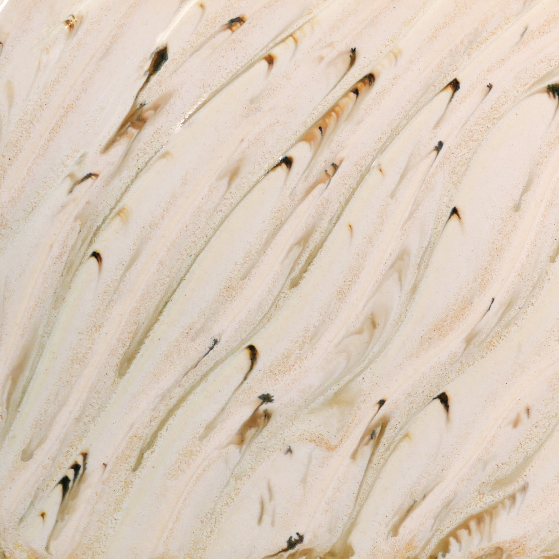 Amaco, River Birch 