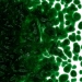 Aventurine Green Transparent, Frit, Fusible - 001112-0001-F-P001