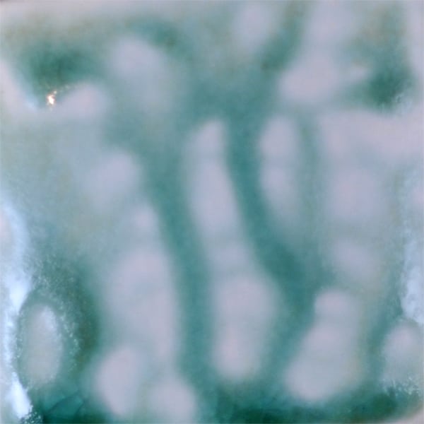 CACTUS ASH                 2 