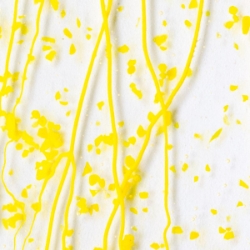 Canary & Sunflower Frit w/ Sunflower Strmrs 