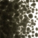 Charcoal Gray Transparent, Frit, Fusible - 001129-0001-F-P001