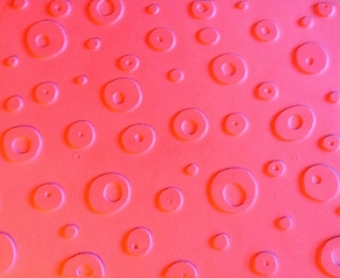 Circles 