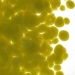 Citronelle Opalescent, Frit, Fusible - 000221-0001-F-P001