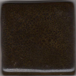 Coffee Bean (Brown Undercoat) 