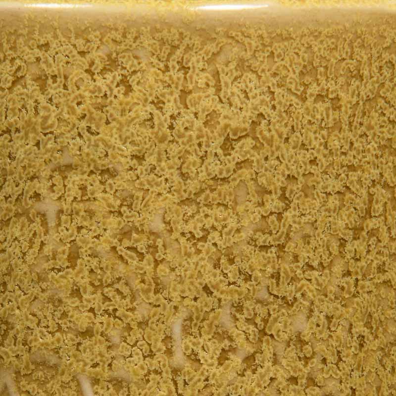 Coriander 