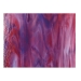 Cranberry Pink, Gold Purple, White, Dbl-rolled - 003334-0030-05x10