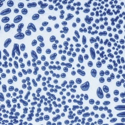 Dark Blue Crawl 