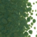 Dark Forest Green Opalescent, Frit, Fusible - 000141-0001-F-P001