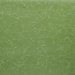 Frozen Fern - KI-46 Pint