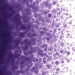 Gold Purple Transparent, Frit, Fusible - 001334-0001-F-P001