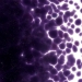 Gold Purple Transparent, Frit, Fusible - 001334-0001-F-P001