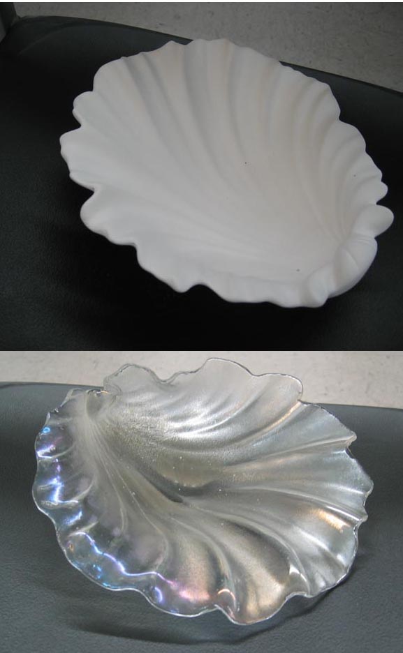 Large Shell 