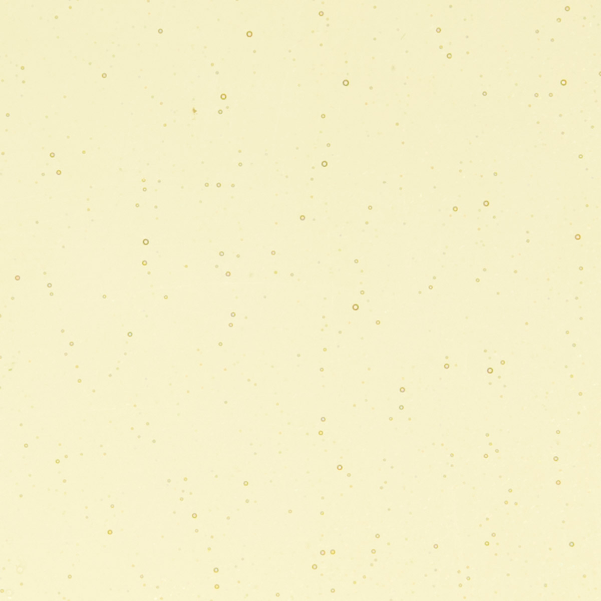 Light Amber Transparent, Thin-rolled, 2 mm, Fusible, 17 x 20 in., Half Sheet 