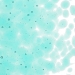 Light Aquamarine Blue Transparent, Frit, Fusible - 001408-0001-F-P001
