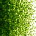 Light Aventurine Green Transparent, Frit, Fusible - 001412-0001-F-P001