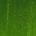 Light Aventurine Green Transparent, Thin-rolled, 2 mm, Fusible, 17 x 20 in., Half Sheet - 001412-0050-F-HALF