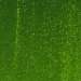 Light Aventurine Green Transparent, Thin-rolled, 2 mm, Fusible, 17 x 20 in., Half Sheet - 001412-0050-F-HALF