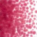 Light Pink Striker Transparent, Frit, Fusible - 001215-0001-F-P001