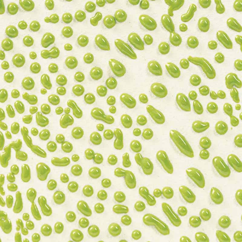 Lime Crawl 