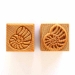 Medium Square #121 Ammonite - MKM-Ssm-121