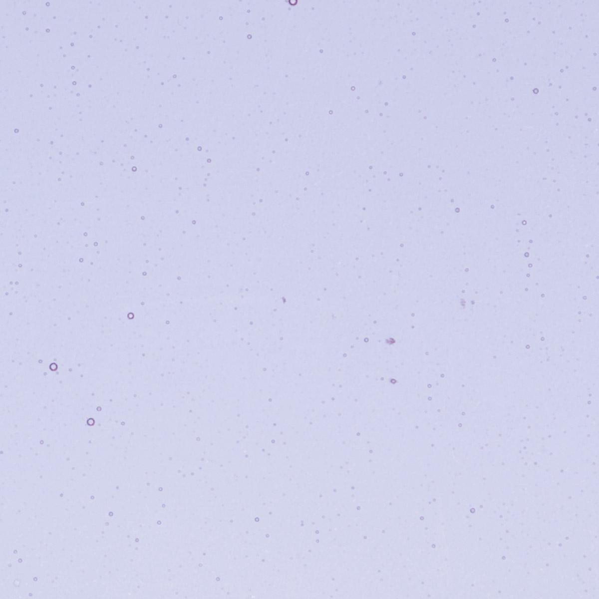 Neo-Lavender Shift Transparent, Thin-rolled, 2 mm, Fusible, 17 x 20 in., Half Sheet 
