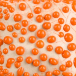 Orange Bead 