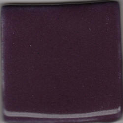 Pansy Purple 