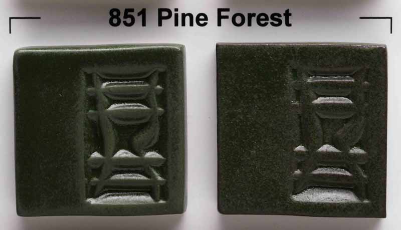 Pine Forest 