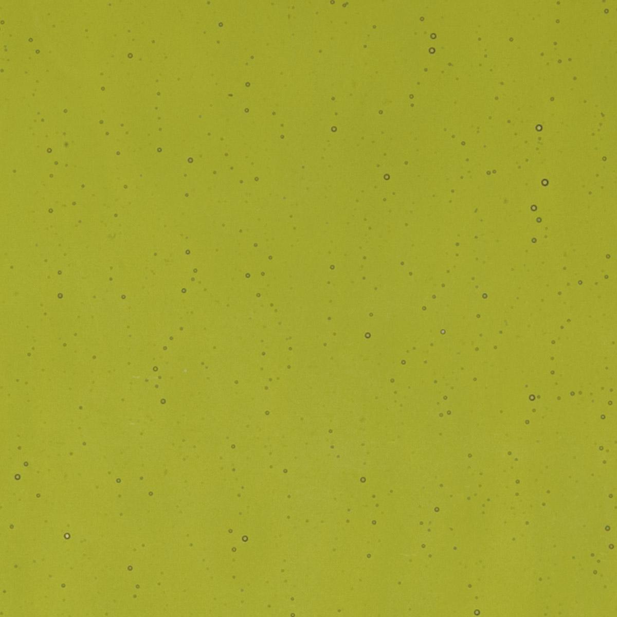Pine Green Transparent, Thin-rolled, 2 mm, Fusible, 17 x 20 in., Half Sheet 