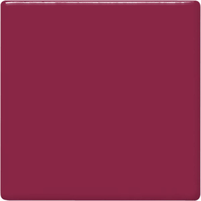 RASPBERRY 