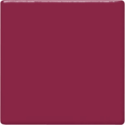 RASPBERRY 