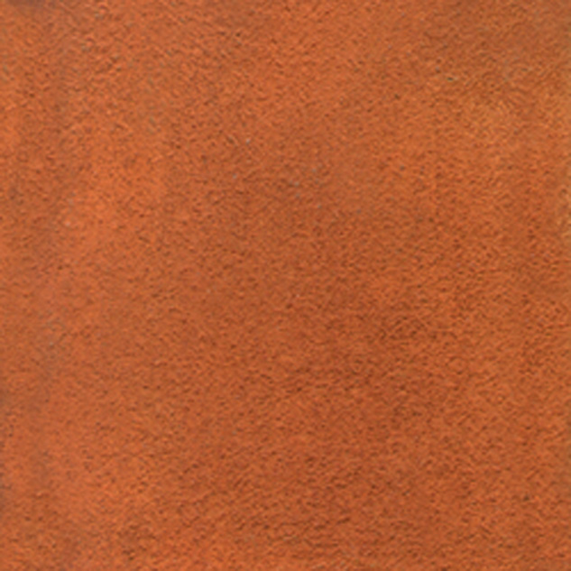 Rapid Rust 