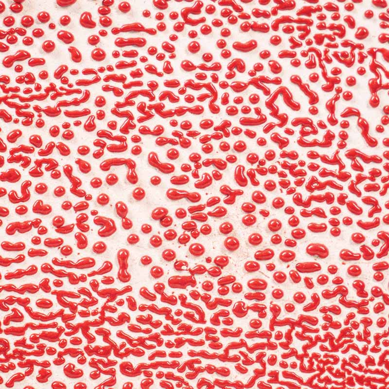 Red Crawl 