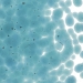 Sea Blue Transparent, Frit, Fusible - 001444-0001-F-P001