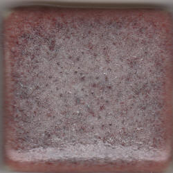Snowy Plum 