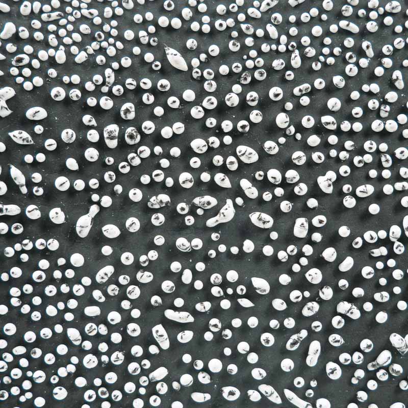 Speckled White Crawl 