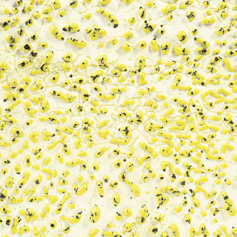 Speckled Yellow Crawl 