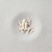 Stamps4Clay 4 cm Frog - MKM-CT-006