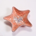 Low Fire - Star Fish Dish - MB-1379