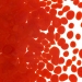 Tomato Red Opalescent, Frit, Fusible - 000024-0001-F-P001