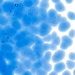 True Blue Transparent, Frit, Fusible - 001464-0001-F-P001